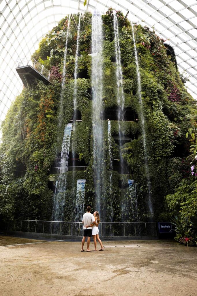 Singapore Cloud Forest
