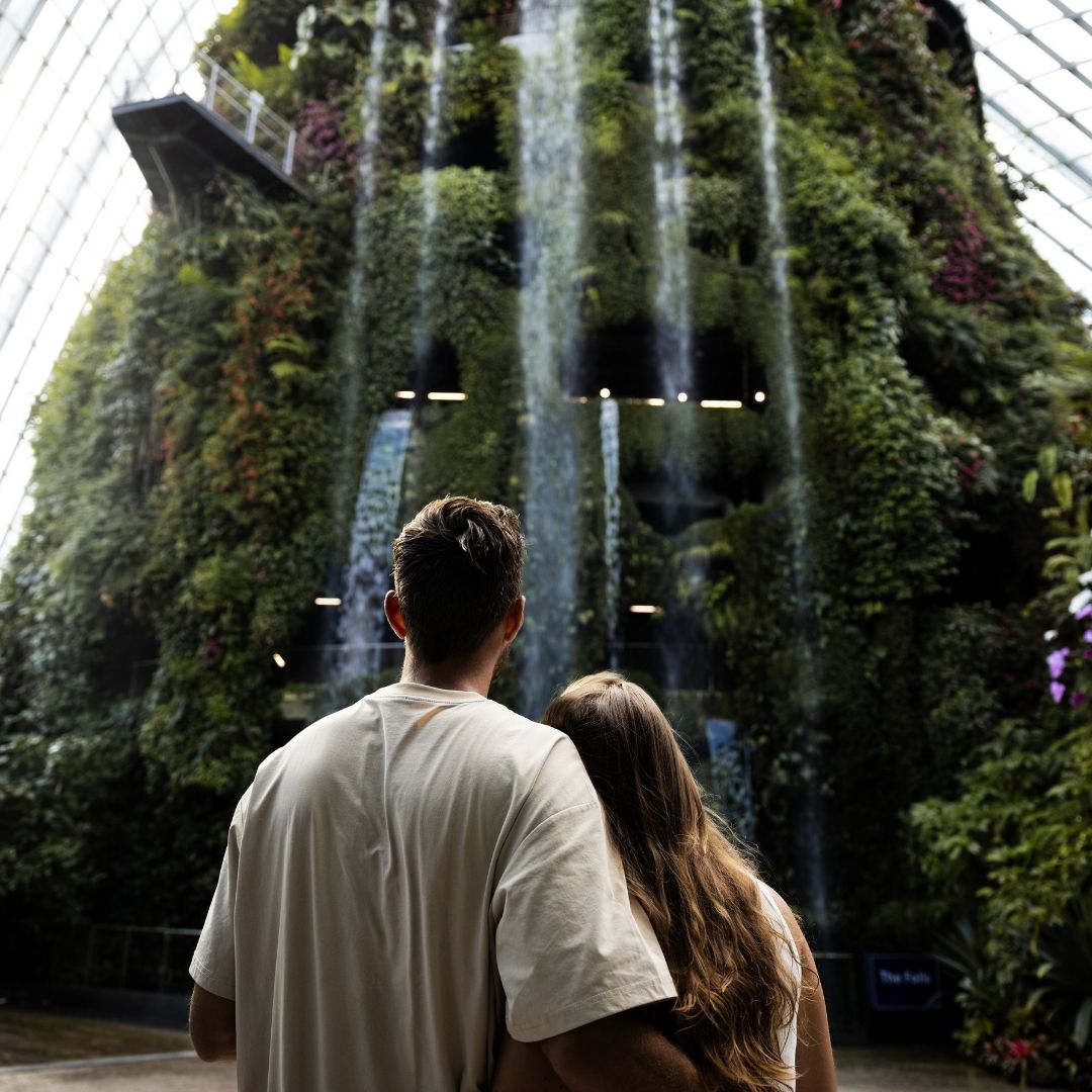 Singapore Cloud Forest Thousandtravelmiles