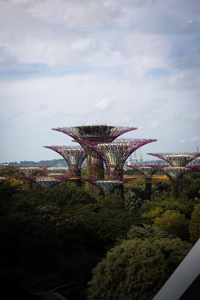 Singapore Gardens by the bay