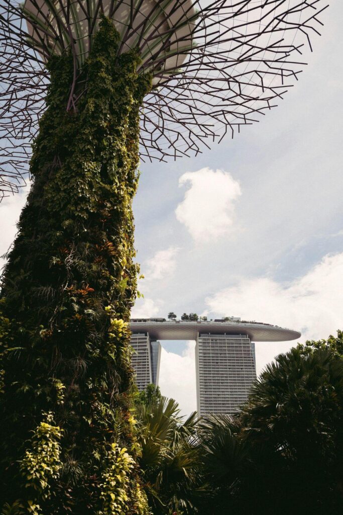 Singapore Supertrees - Gardens by the Bay