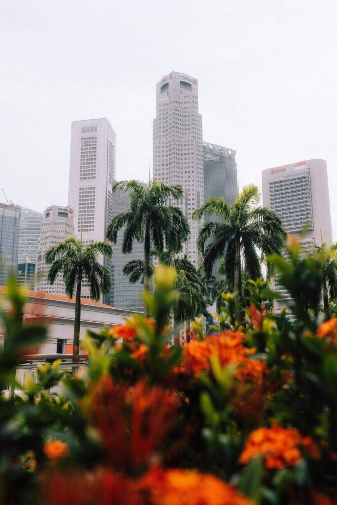 Wat te doen in Singapore