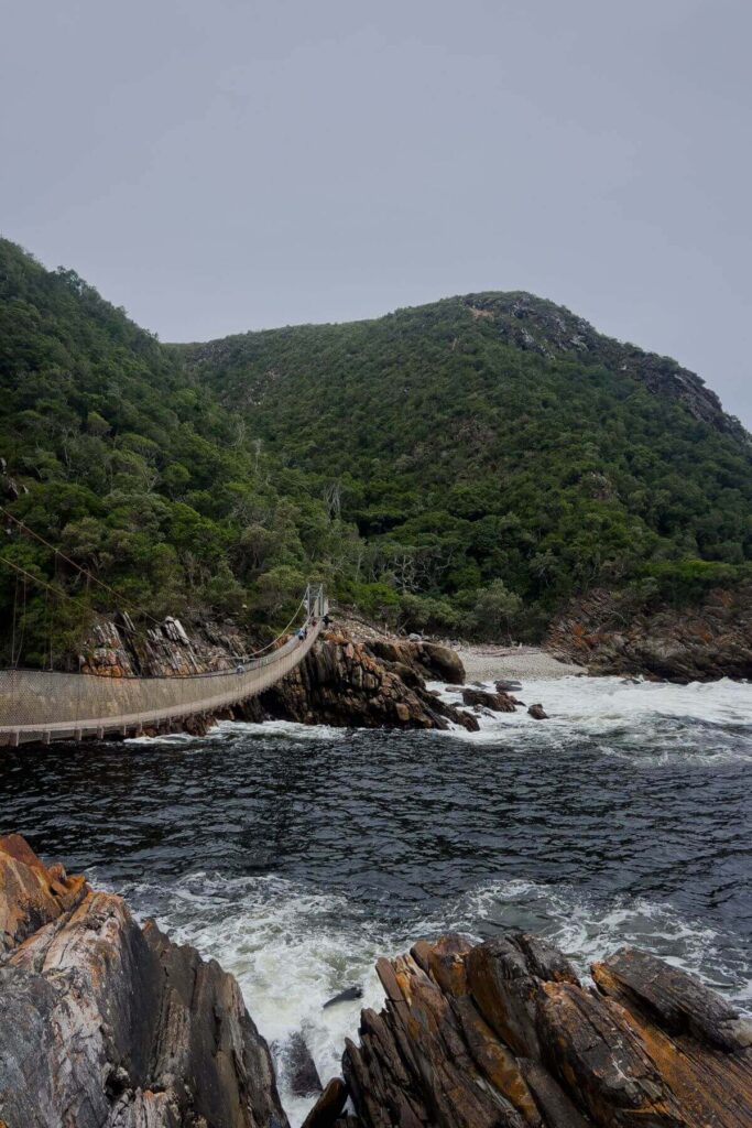 Brug in Tsitsikamma National Park