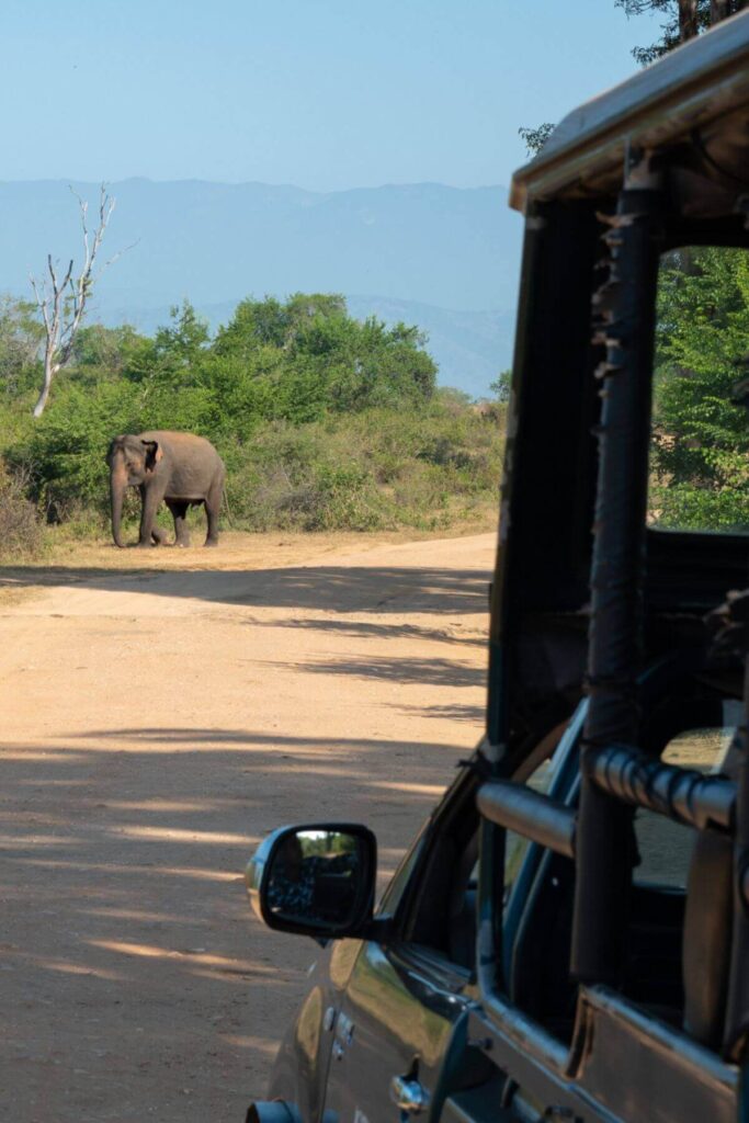 Olifant en jeep in in Udawalawe National Park