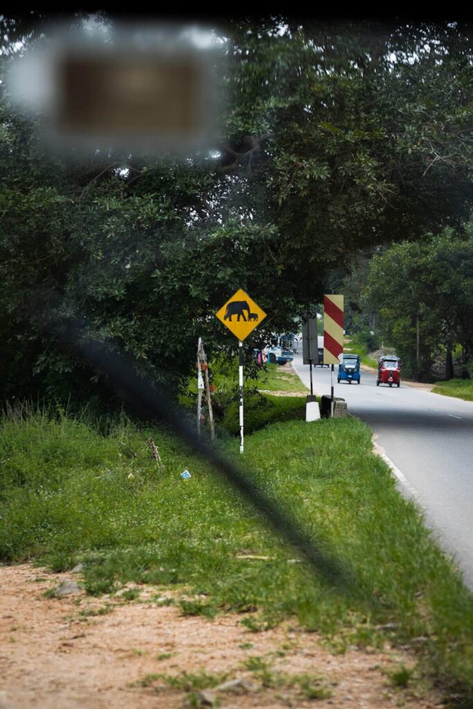 Olifanten verkeersbord in Sri Lanka