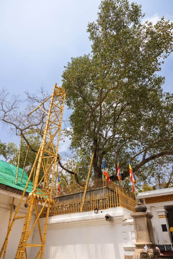 Sri Maha Bodhi Temple