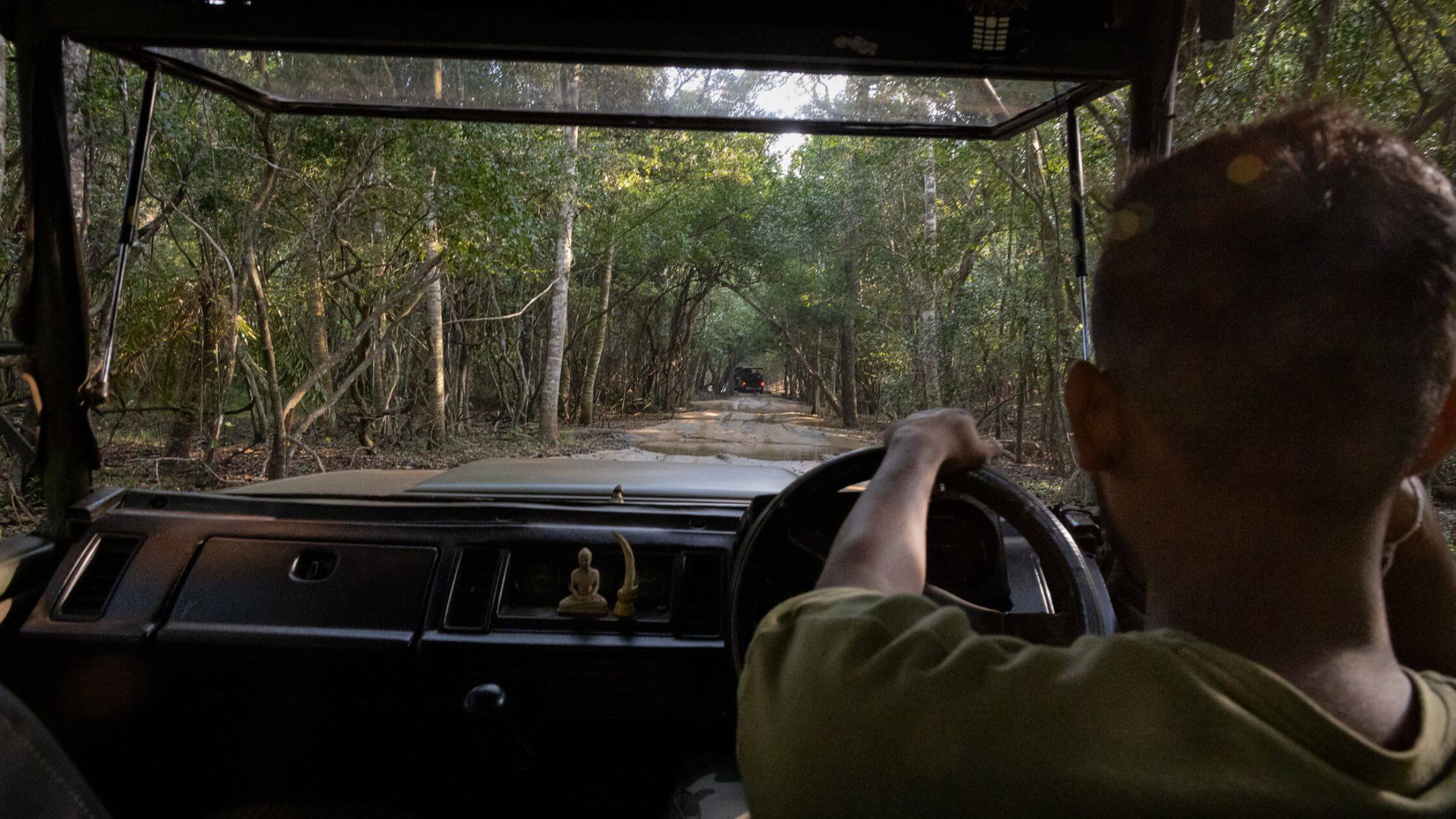 Wilpattu National Park - Jeep Safari