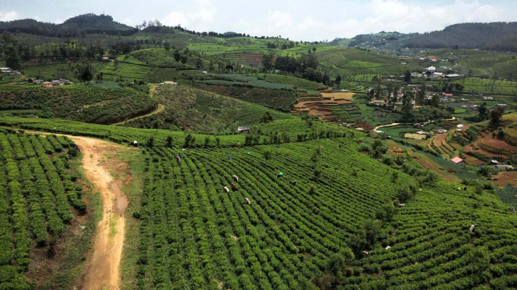 Droneshot in Nuwara Eliya, Sri Lanka