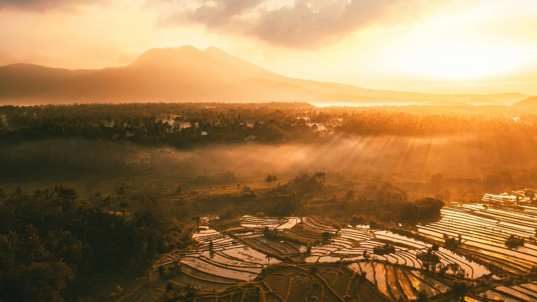 Zonsopkomst in Bali met uitzicht op de rijstvelden