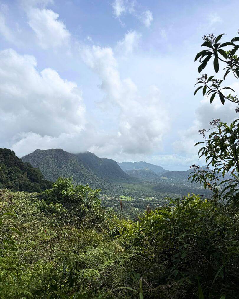 Rondreis Panama: complete reisroute voor 2 of 3 weken 10 Hike naar Ancon Hill in Panama