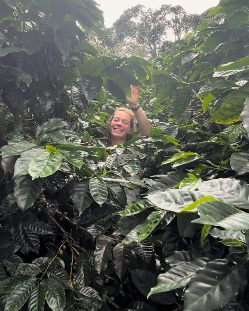 Rondreis Panama: complete reisroute voor 2 of 3 weken 21 Koffieplantage in Boquete, Panama