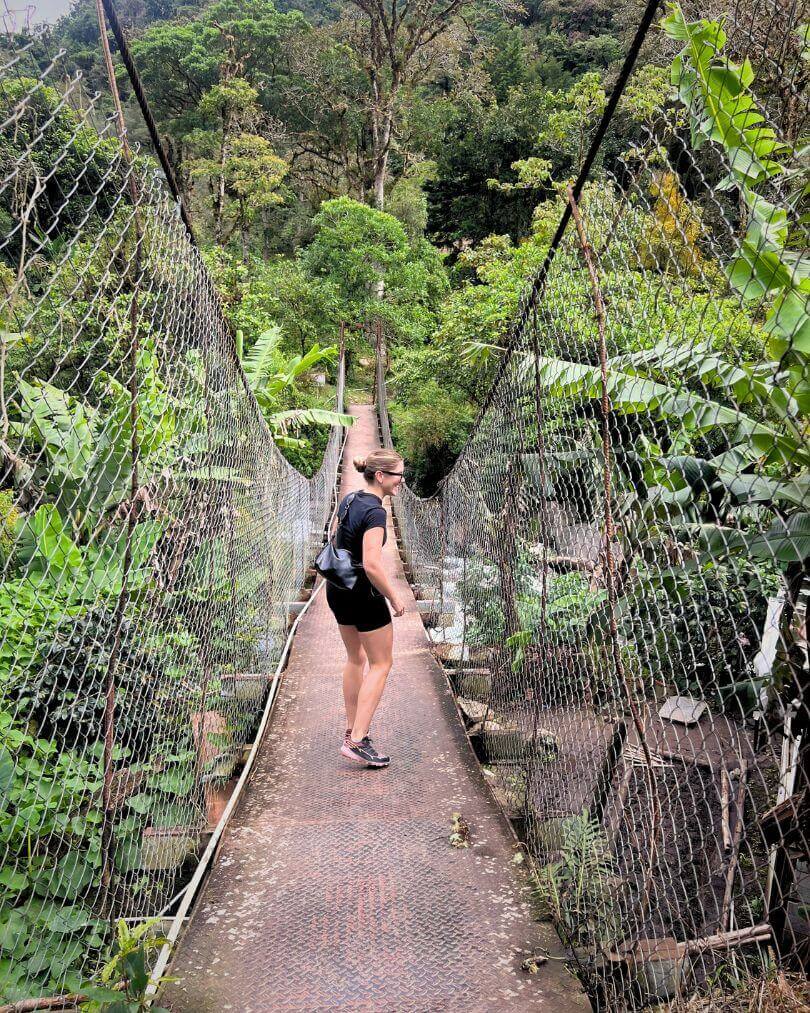 Rondreis Panama: complete reisroute voor 2 of 3 weken 13 Valle de Anton Waterfall hike brug