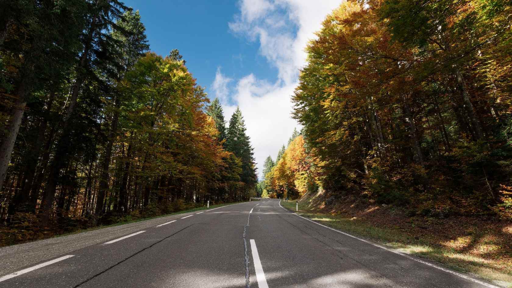 Een serene en schilderachtige weg omgeven door levendige herfstbladeren onder een helderblauwe lucht